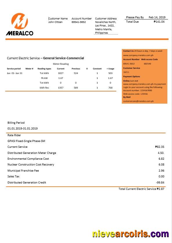 Philippines The Manila Electric Company electricity company